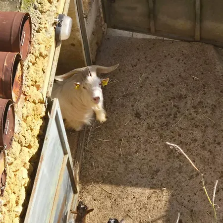 Eghzien A2 Access To Tranquil Shared Pool *