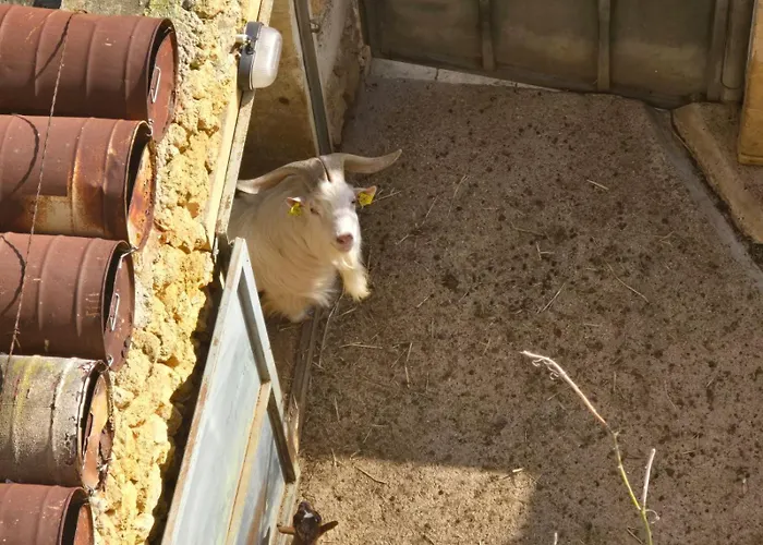 Eghzien A2 Access To Tranquil Shared Pool *